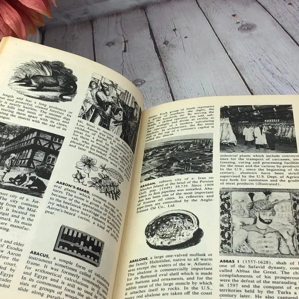 vintage pictorial encyclopedia of the world volume 1 1955